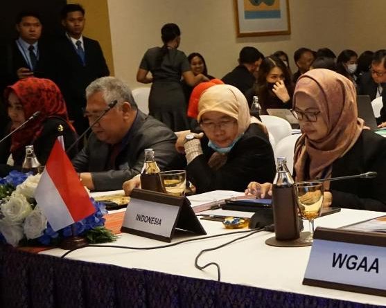 Manfaatkan Kerja Sama Negara IMT-GT 2020, Pemprov Sumut Usulkan Penerbangan Langsung hingga Pertukaran Atlet