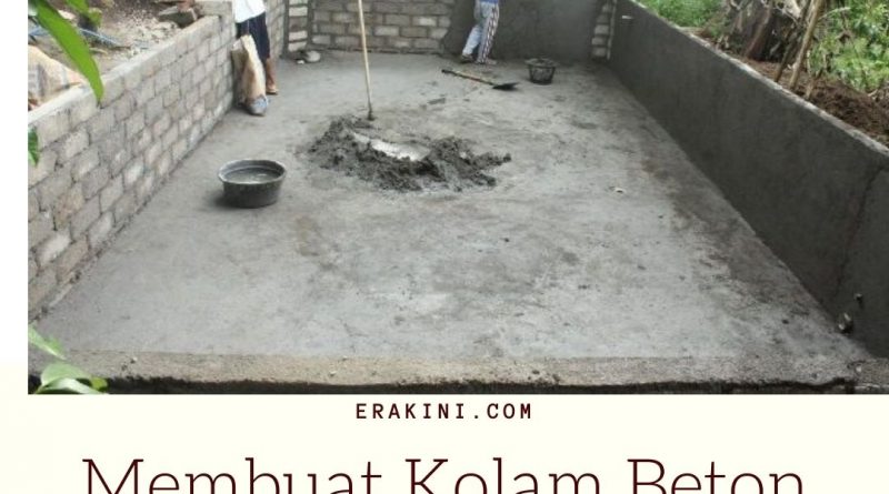 Panduan Membuat Kolam Beton Ikan Nila