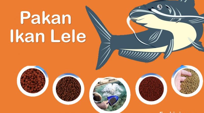 Pakan ikan Lele
