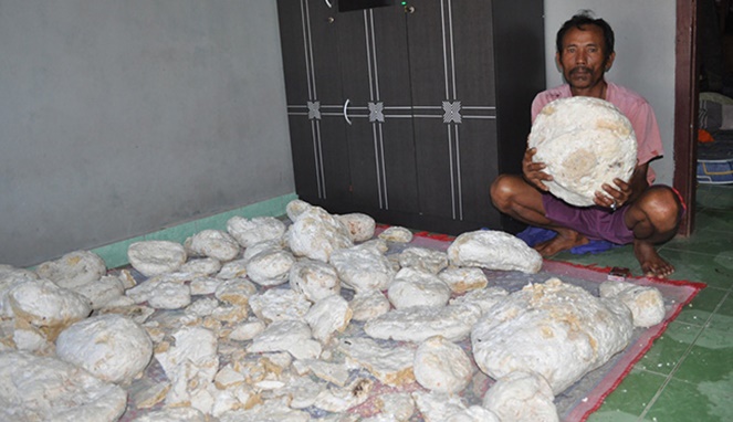 Sukadi dan muntahan paus temuannya