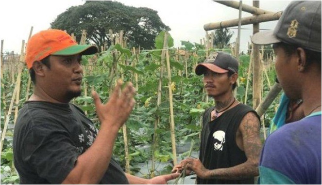 Anak buah Bagas Suratman bukan sebagai preman, tapi petani