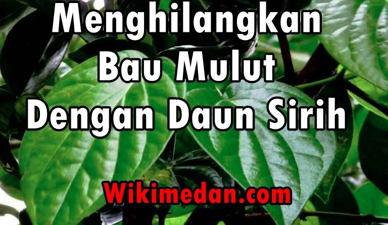 Menghilangkan Bau Mulut dengan Daun Sirih
