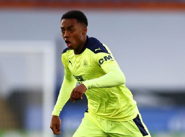 Bos Newcastle United Bicara Masa Depan Joe Willock dan Allan Saint-Maximin