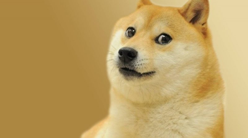 NFT Dogecoin kabosu