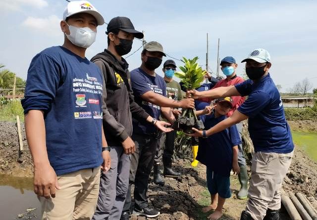 Peduli Lingkungan, IMANU, HIPMI dan HNSI Kabupaten Tangerang Tanam Mangrove di Lontar