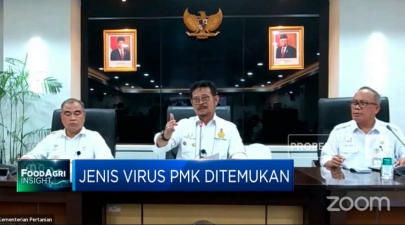 Wabah PMK Serang Ternak