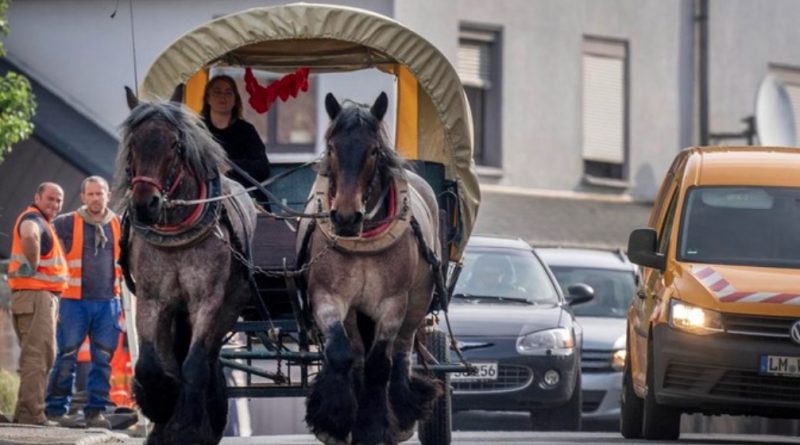 Warga Jerman Berangkat Kerja Naik Kuda