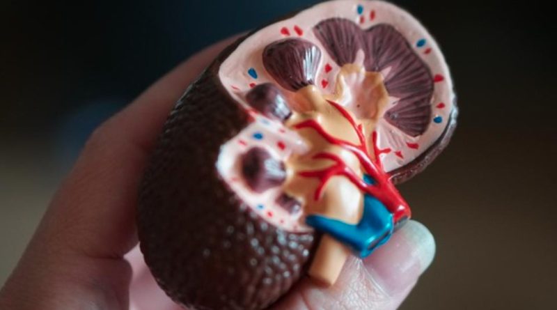 Kenali Gejala Awal Penyakit Gagal Ginjal