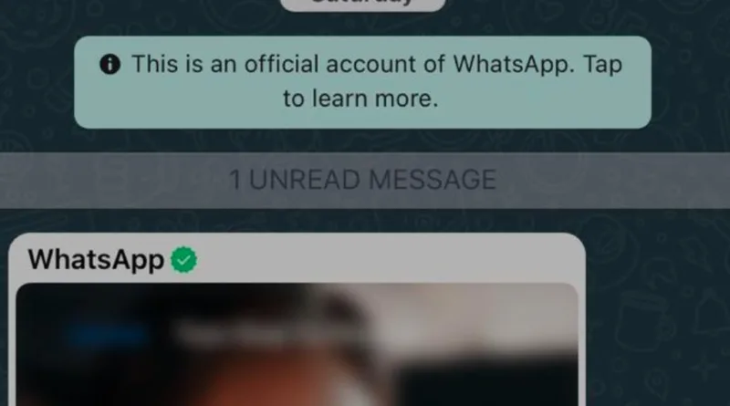 Fitur Baru WhatsApp Ini Disebut Bantu Orang Selingkuh