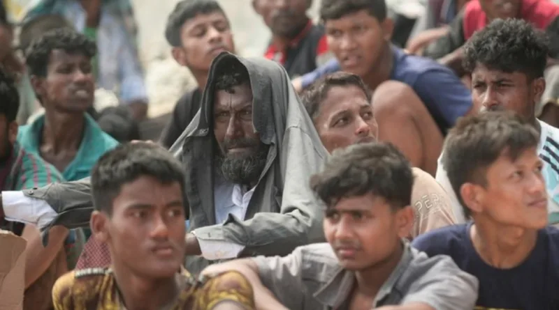 Pro Kontra Pengungsi Rohingya di RI