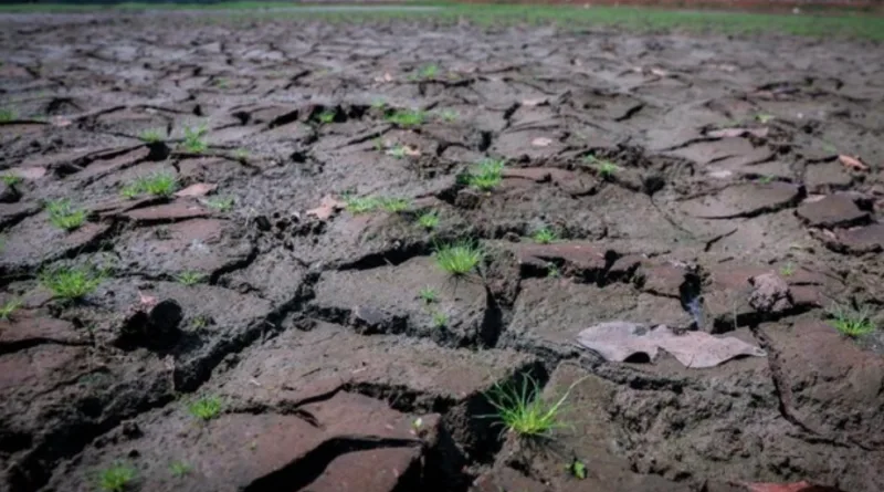 Panas Mendidih Ancam Wilayah RI