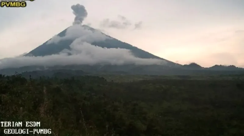 Letusan Gunung Semeru capai tinggi 800 meter