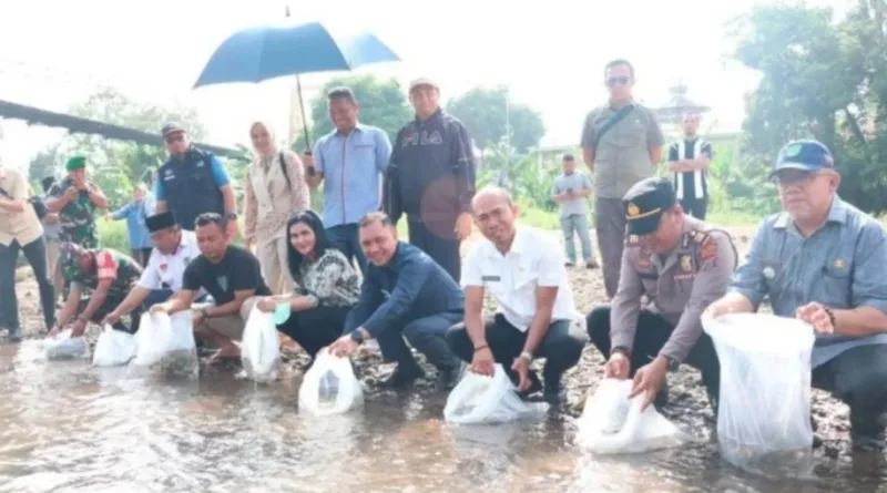 Pemkab Tapsel tabur benih ikan nila di Sungai Batang Angkola