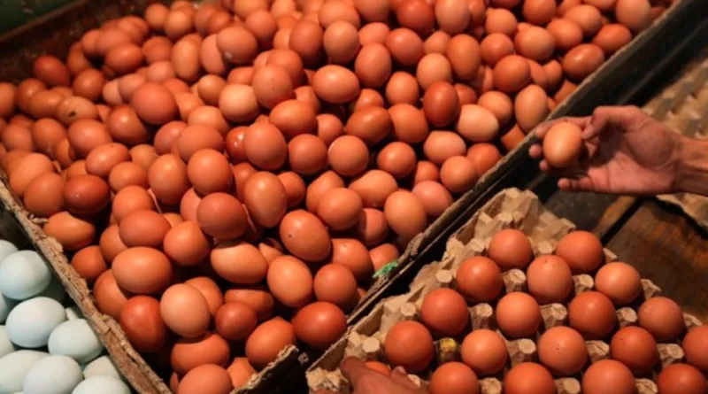 4 Manfaat Telur Rebus yang Tak Banyak Orang Sadari