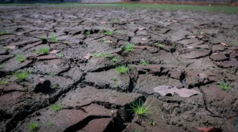 BMKG Ungkap Potensi Cuaca Mei & Prediksi Baru Puncak Kemarau di RI