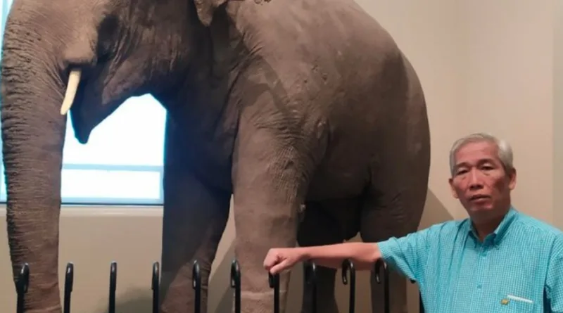 Ternyata Begini Strategi Investasi Saham ala Lo Kheng Hong