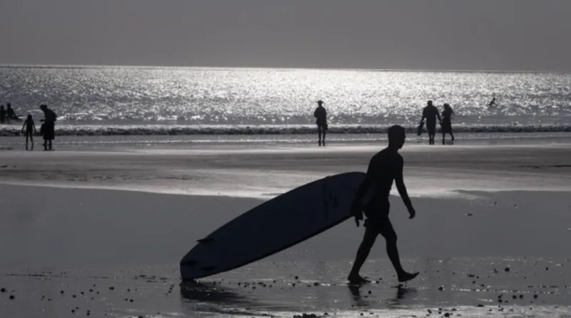 Pemprov Bali Ungkap Banyak Bule Jualan Sayur