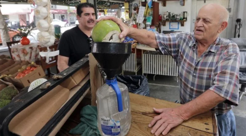 Benarkah Minum Air Kelapa Tiap Hari Berguna Bagi Tubuh