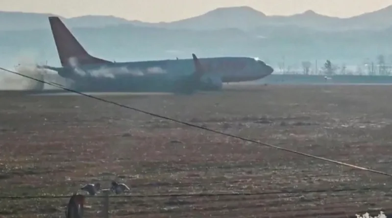 Bukti Ternyata Burung Bisa Sebabkan Kecelakaan Fatal Pesawat Terbang