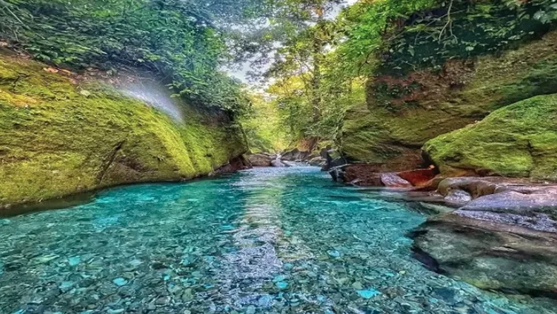 Kolam Renang Pelaruga