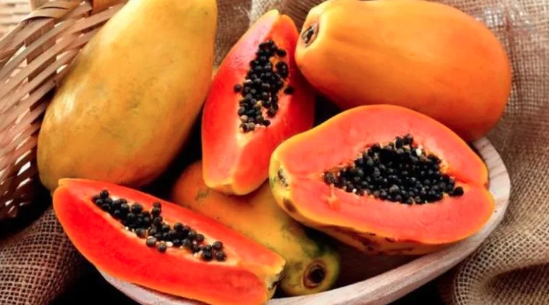 10 Makanan Ini Tidak Boleh Dikonsumsi Bareng Pepaya