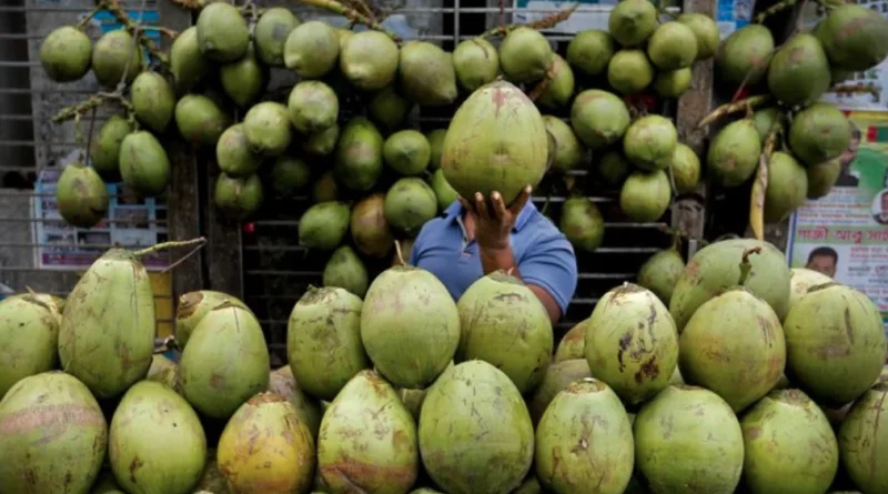 7 Waktu Terbaik Minum Air Kelapa agar Sehat di 2025