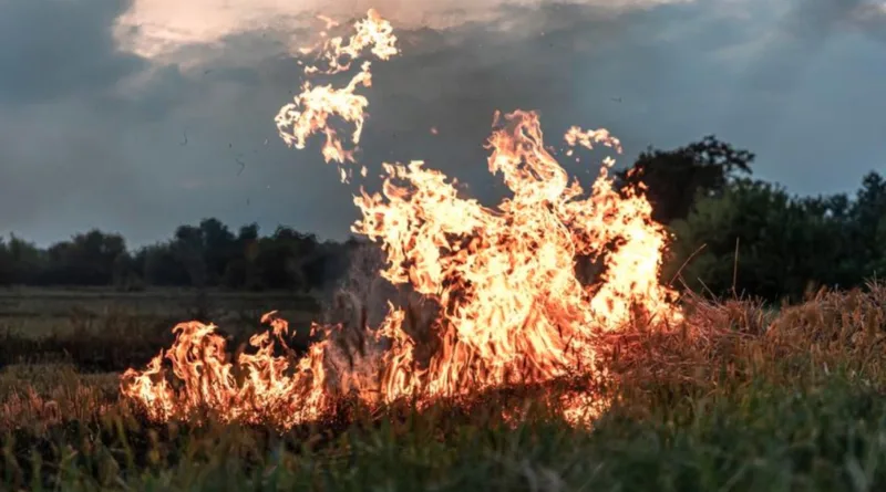 Begini Kronologi Gedung Kementerian ATR BPN Kebakaran