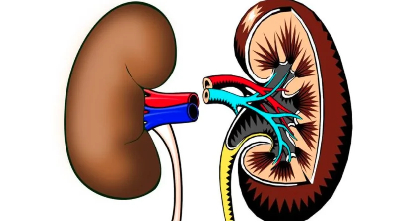 10 Ciri Ginjal Bermasalah