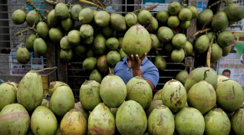 7 Waktu Terbaik Minum Air Kelapa
